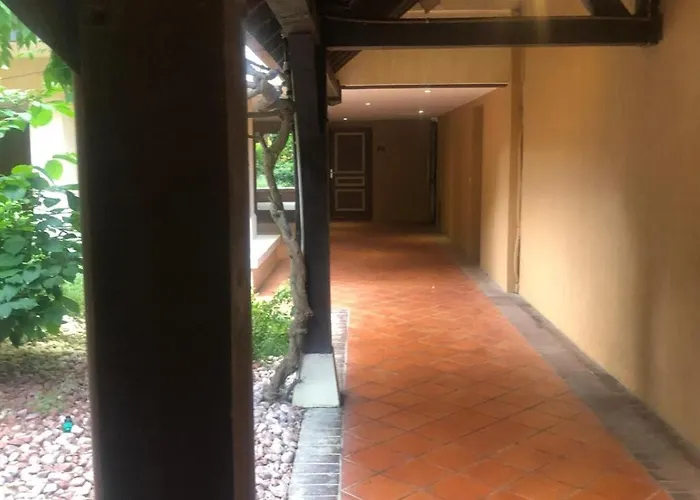 Charming Beachfront In Apartamento